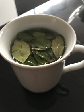 Coca Leaves